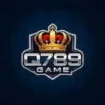 Q789 Game