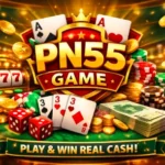 Pn55 Game APK